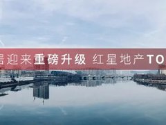 奥德天铂效果图